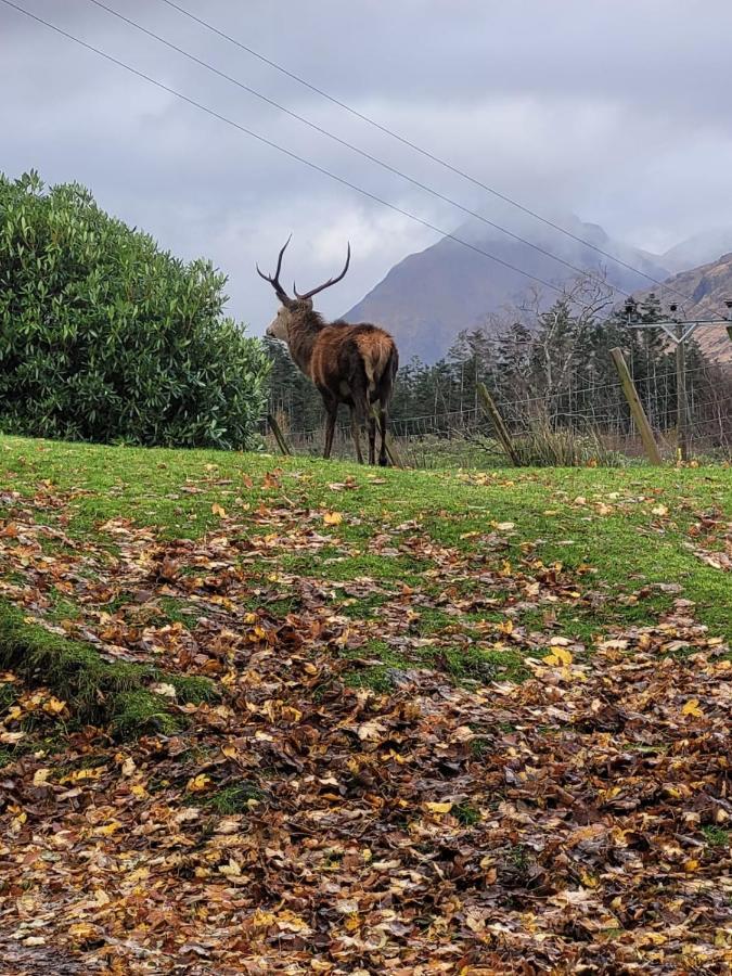 Ormasaig, Self Catering, One Mile To Town & Close To Ben Nevis Villa Fort William Exteriör bild